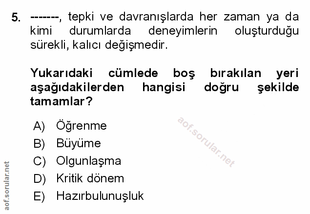Soru 5