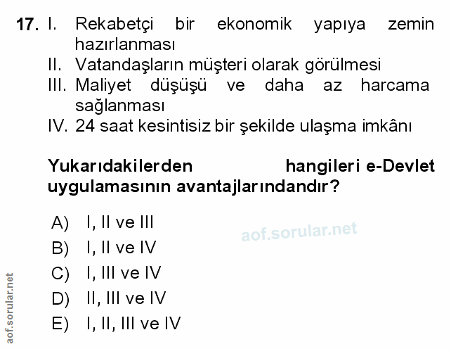 Soru 17