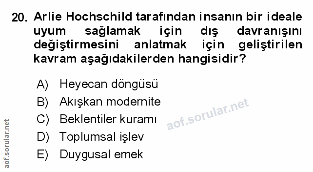 Soru 20