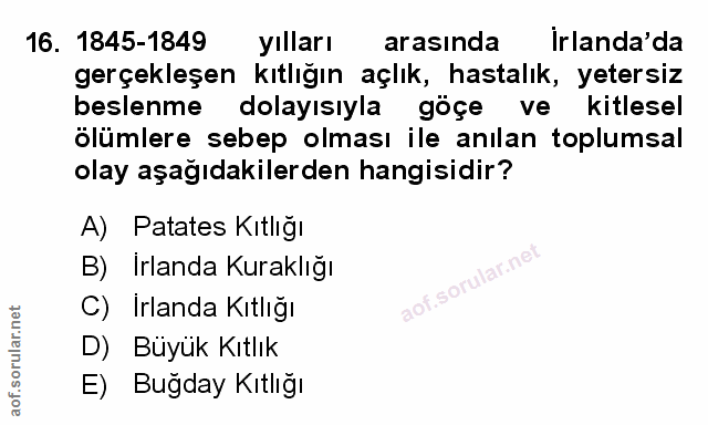 Soru 16
