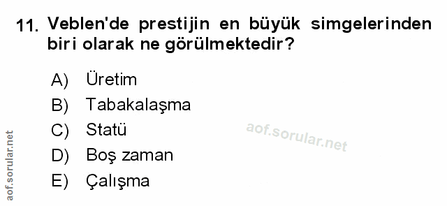 Soru 11