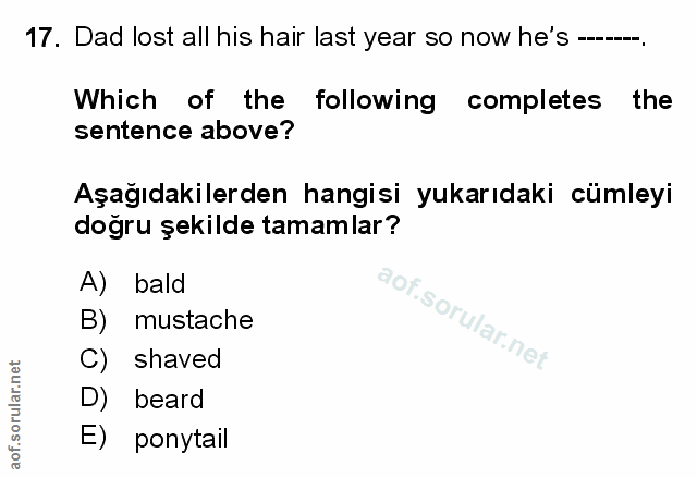 Soru 17