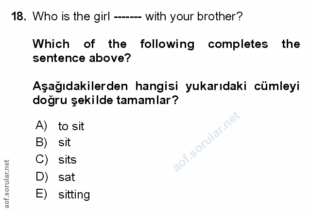 Soru 18