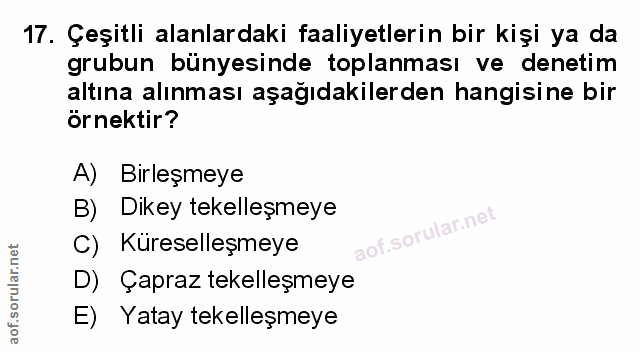 Soru 17
