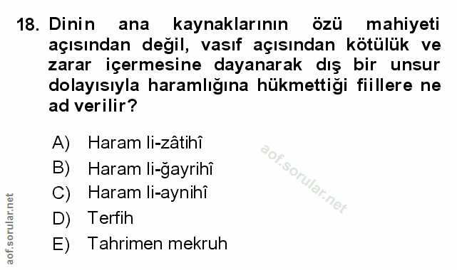 Soru 18