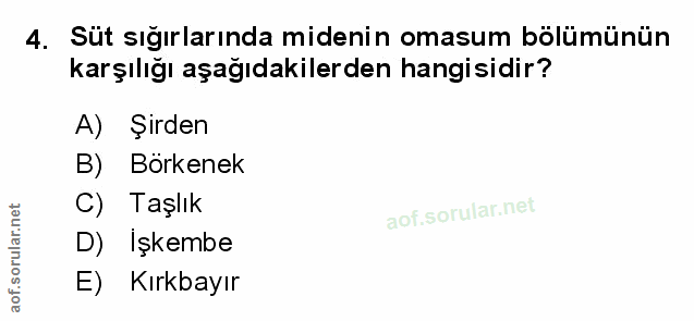 Soru 4