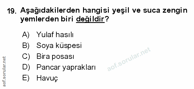 Soru 19