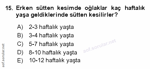 Soru 15
