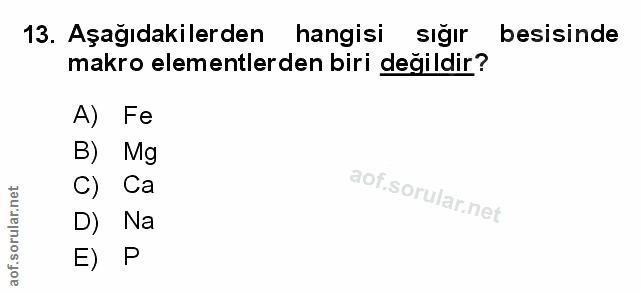 Soru 13