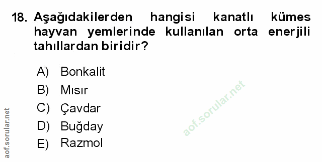 Soru 18