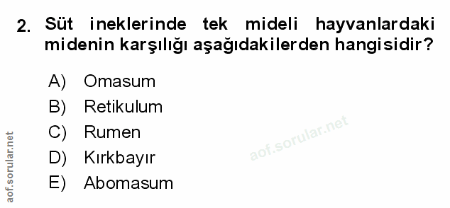 Soru 2