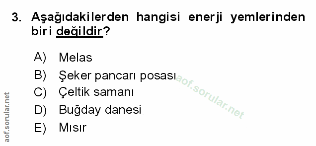 Soru 3