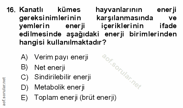 Soru 16