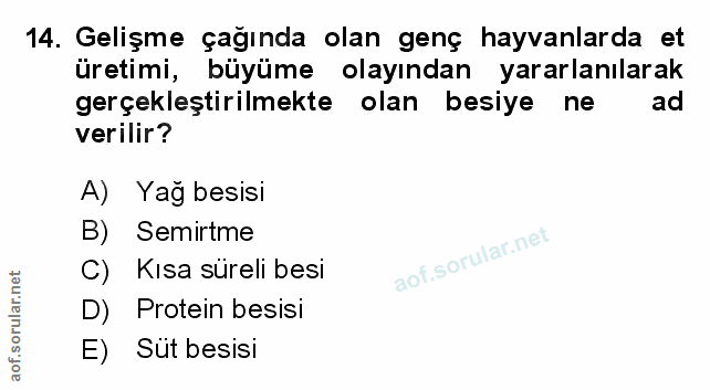 Soru 14