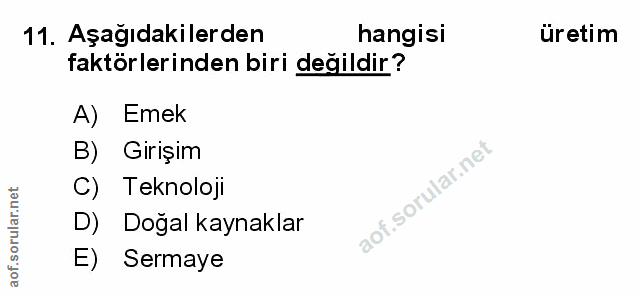 Soru 11