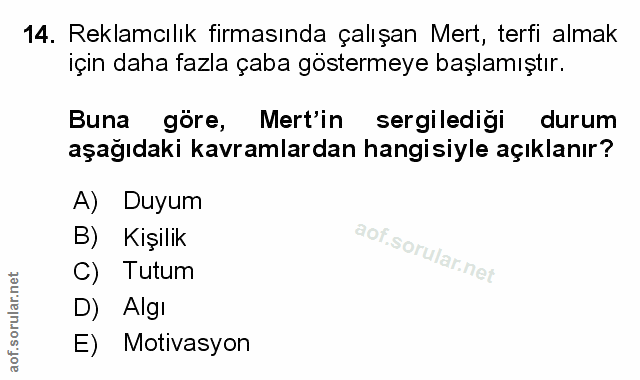 Soru 14