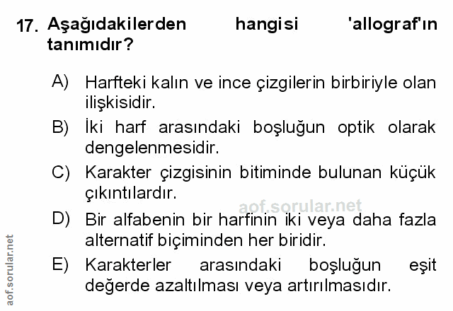 Soru 17