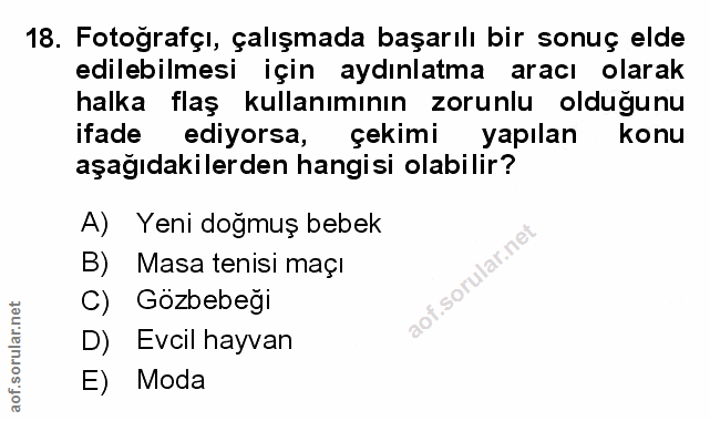 Soru 18