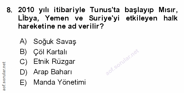 Soru 8