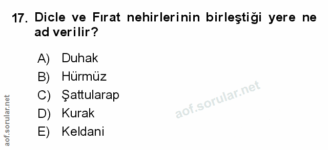 Soru 17