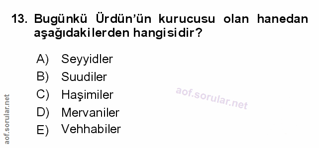 Soru 13