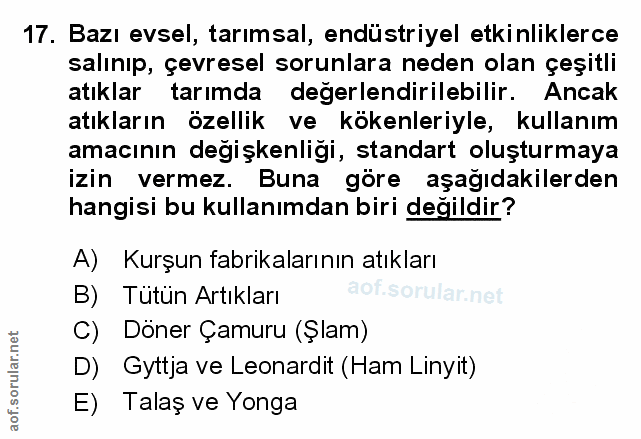 Soru 17