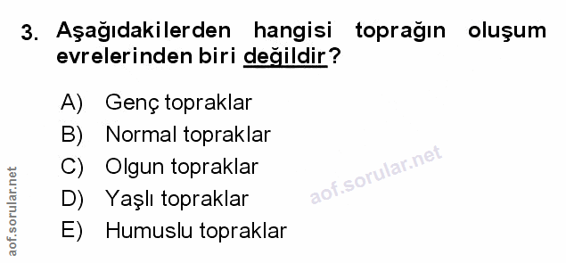 Soru 3
