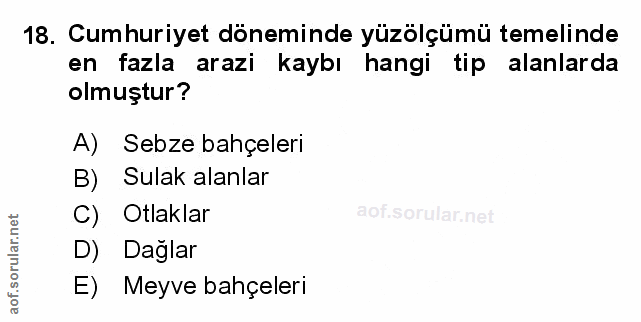 Soru 18