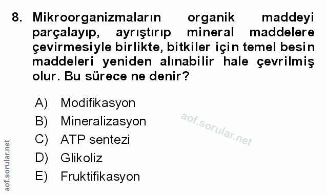 Soru 8