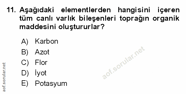Soru 11