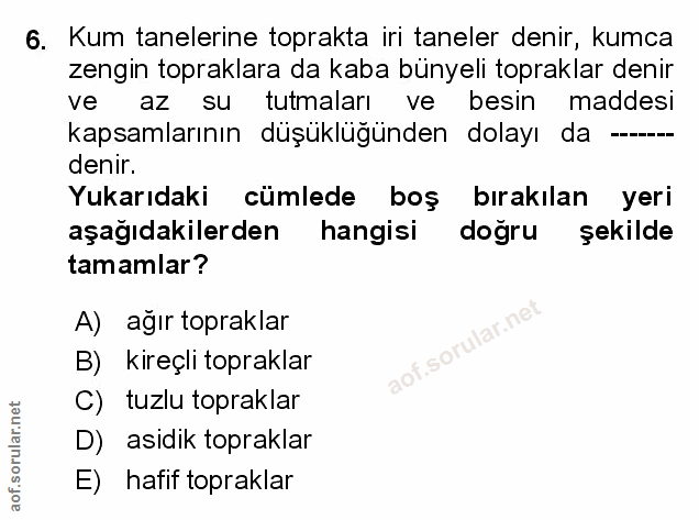 Soru 6