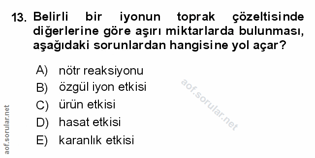 Soru 13