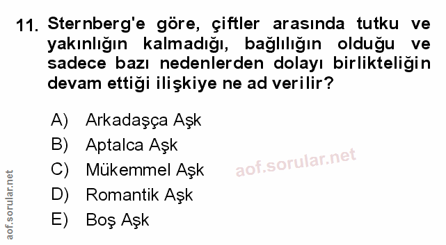 Soru 11
