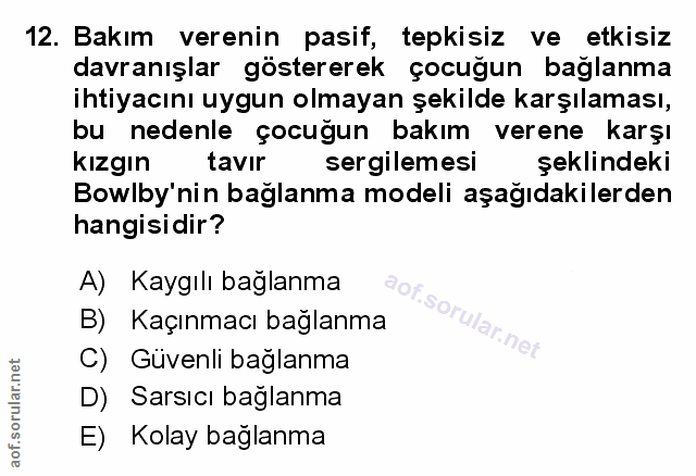 Soru 12