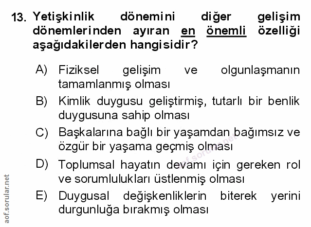 Soru 13