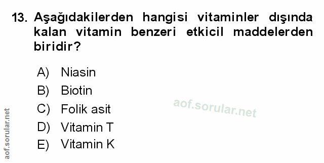 Soru 13