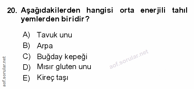 Soru 20