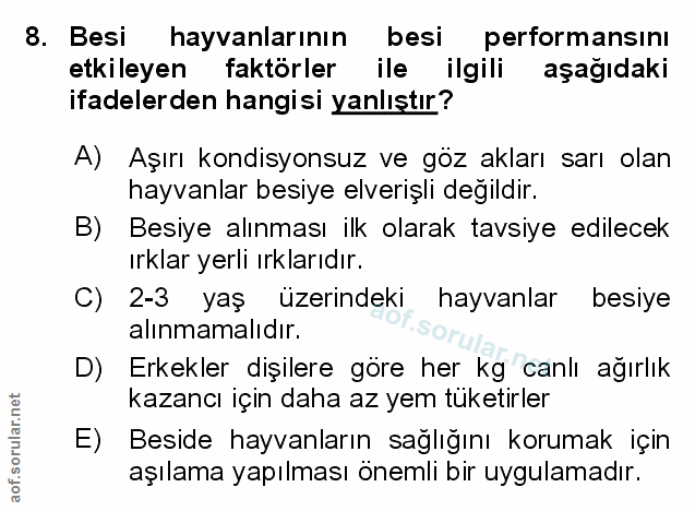 Soru 8