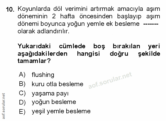 Soru 10
