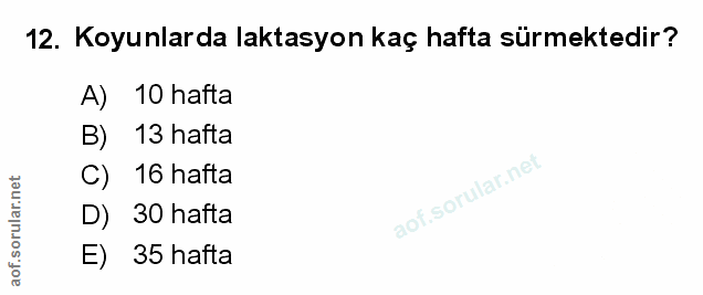Soru 12