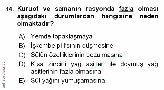 Soru 14