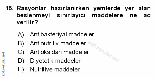 Soru 16