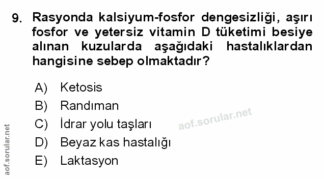 Soru 9