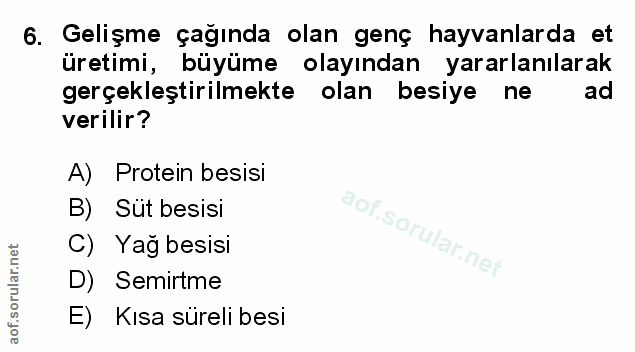 Soru 6
