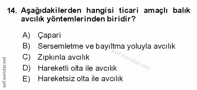 Soru 14