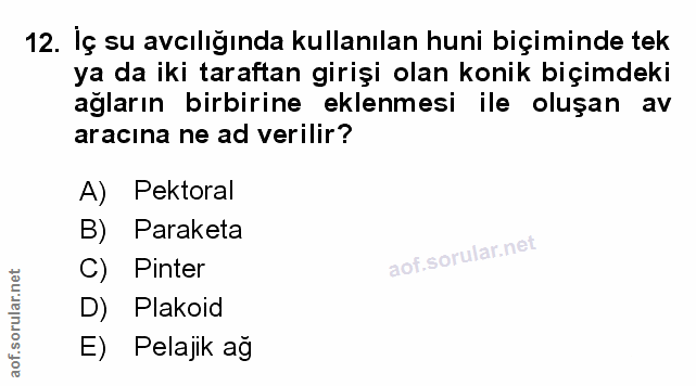 Soru 12