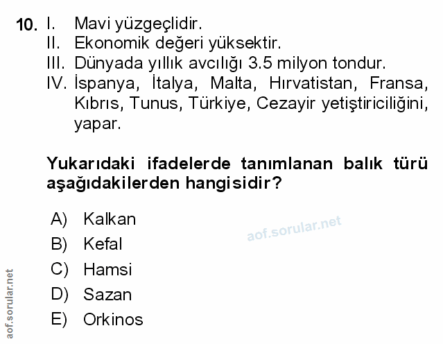 Soru 10