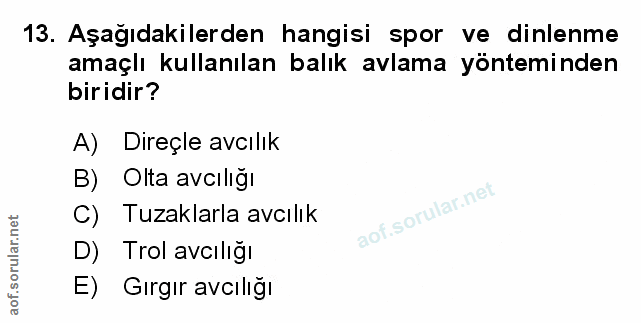 Soru 13