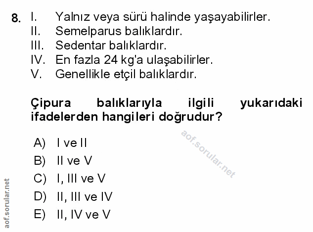 Soru 8