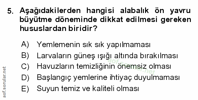 Soru 5